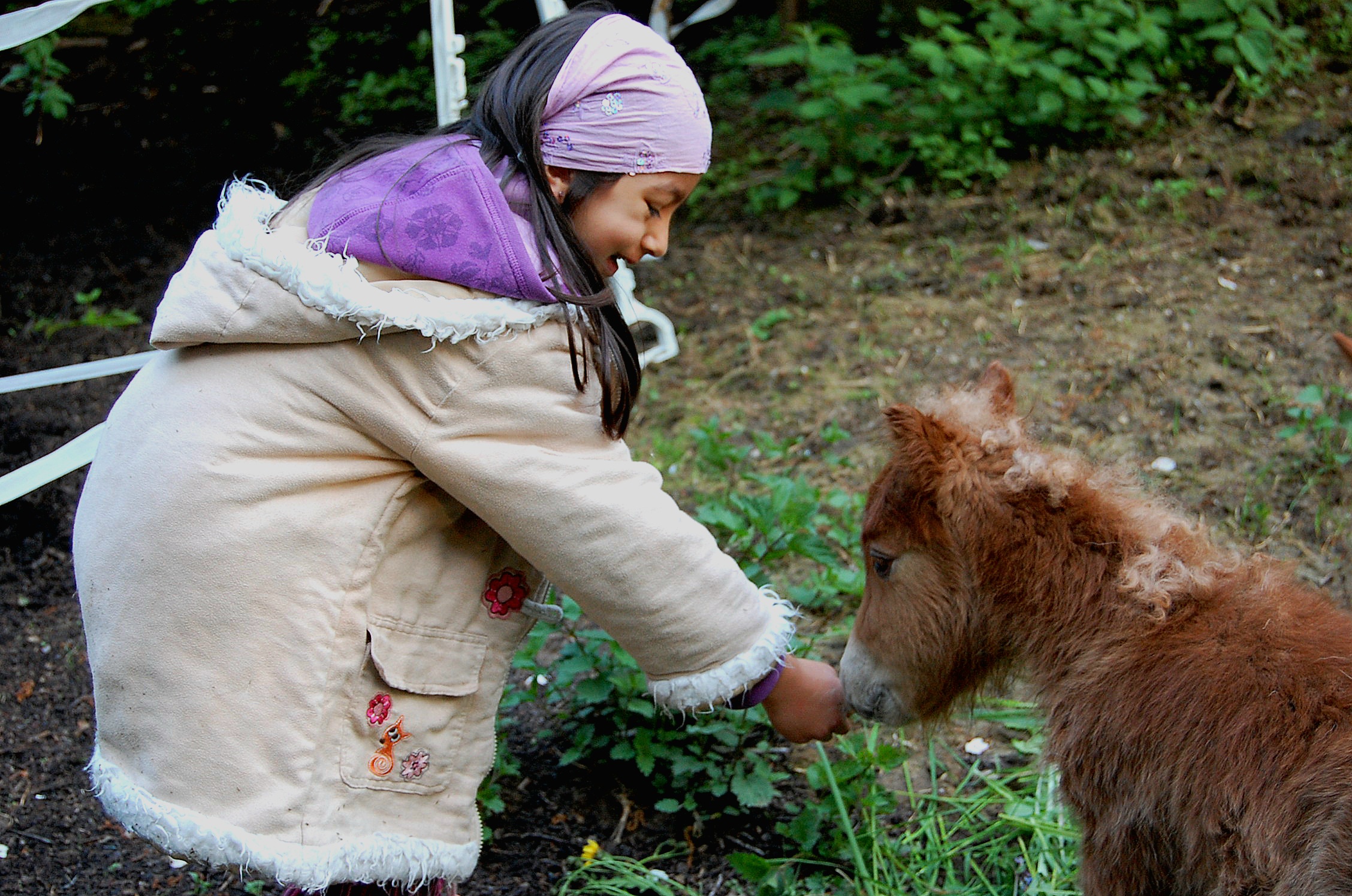 Wie kann ich mein Pferd für die Geburt vorbereiten?