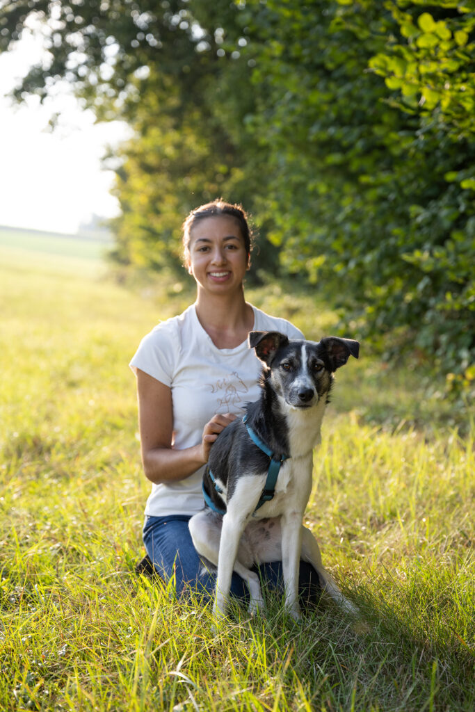 veganes Hunefutter selber backen Rezept Trockenfutter