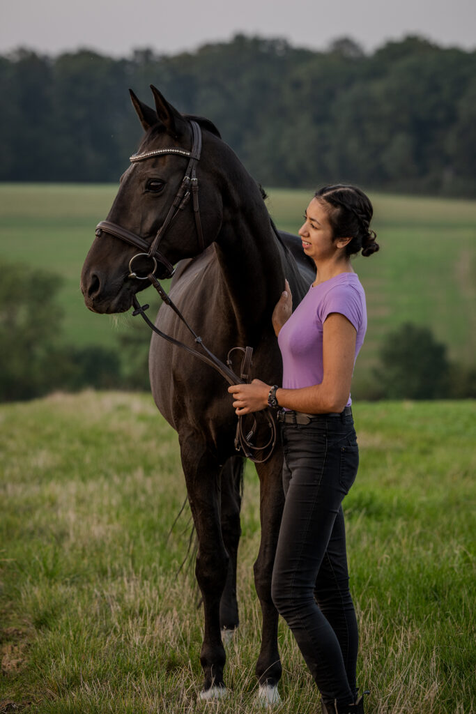 Lasertherapie Pferd Sinsheim, Mosbach, Stuttgart