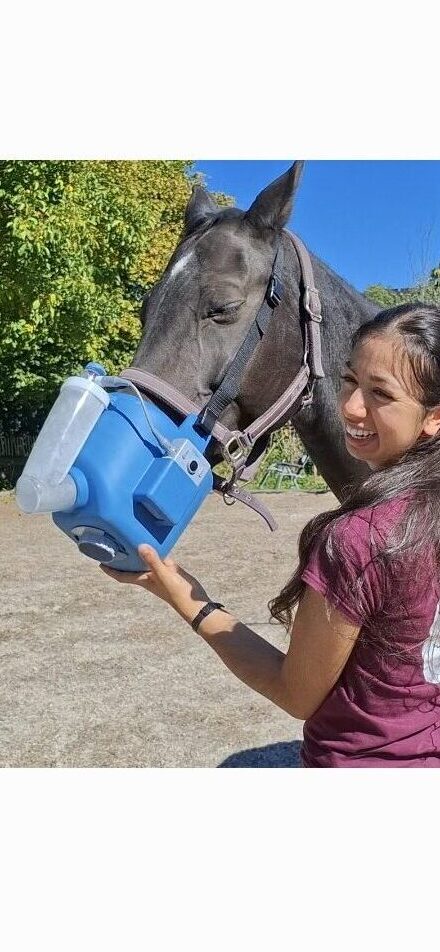 Flexineb leihen, Inhalation Pferd, Preise